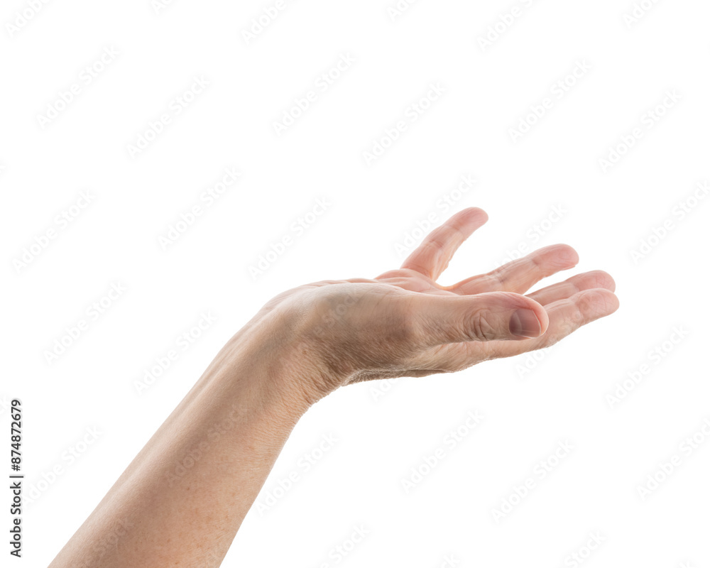 Empty mid aged woman hand to hold or show isolated on white Empty mid aged woman hand to hold or show isolated on white