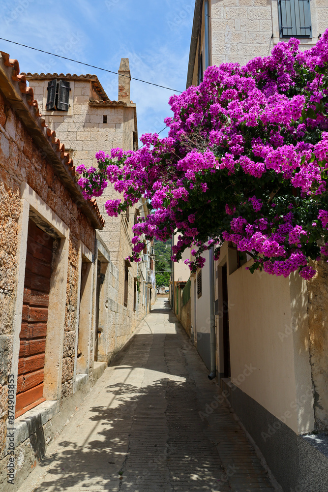 Fototapeta premium Scenes of Croatia