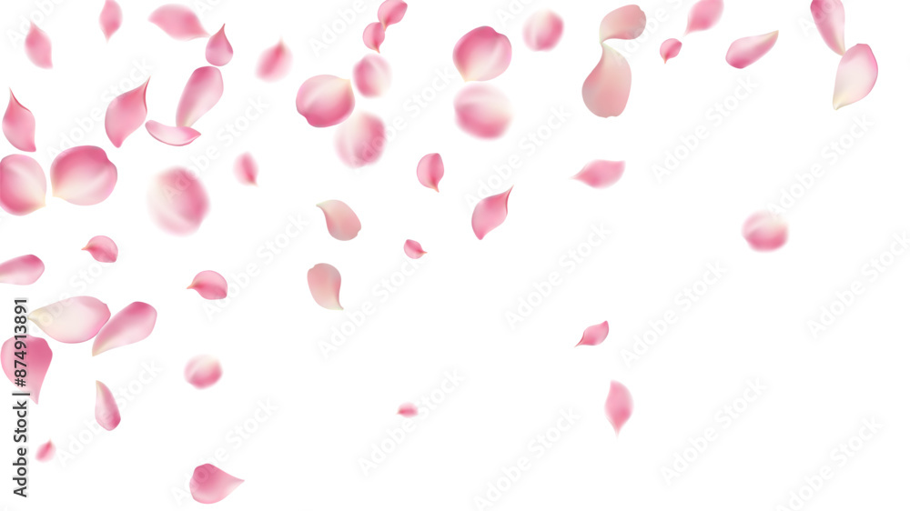 Rose petals or sakura flying petals, romantic background with realistic pink cherry flower petals flow or falling motion. Love, romance, floral spring season,cherry blossom Rose petals or sakura flying petals, romantic background with realistic pink cherry flower petals flow or falling motion. Love, romance, floral spring season,cherry blossom