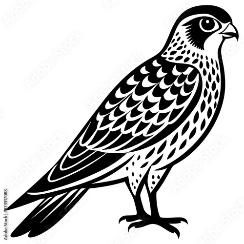 Kestrel vector silhouette 