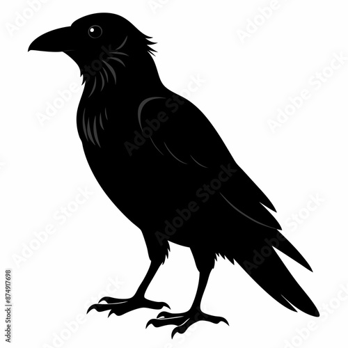 black crow silhouette on white background