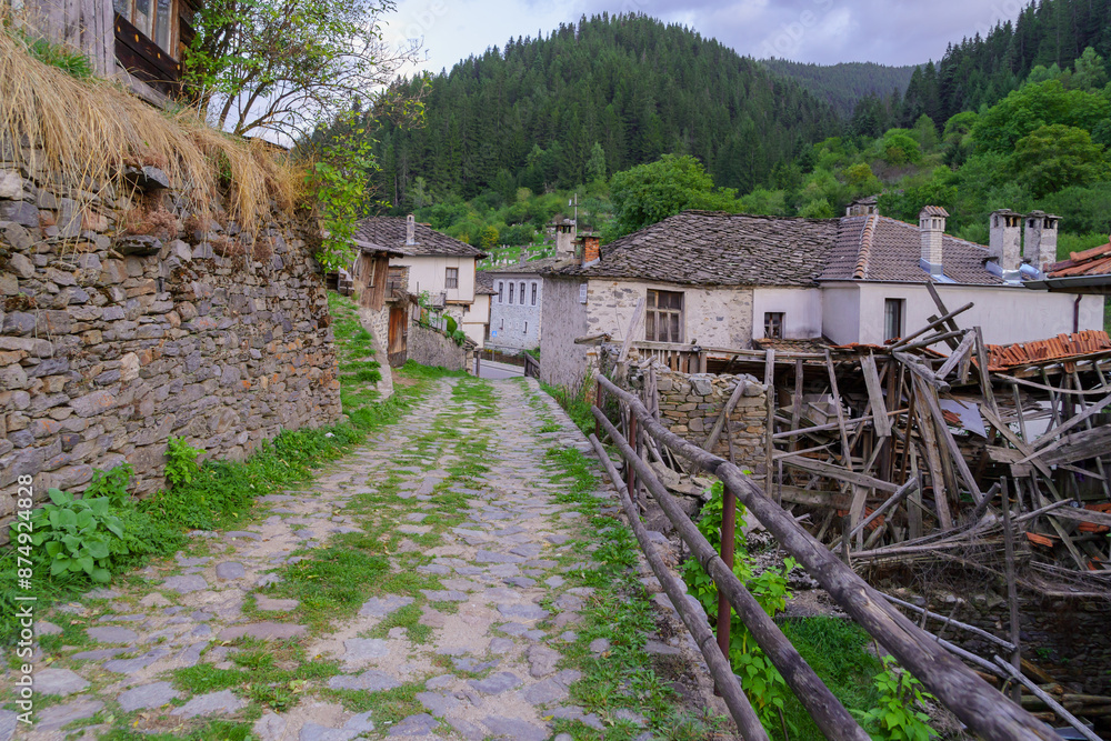 Street with typical buildings, in Shiroka Laka
