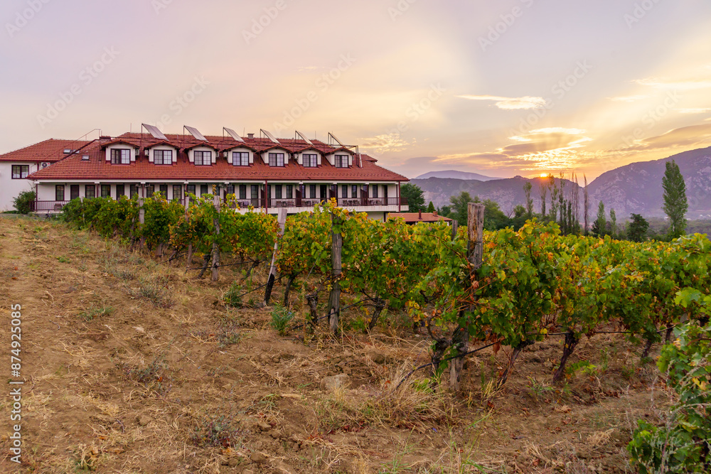 Sunrise view of vineyards and mountains, Demir Kapija