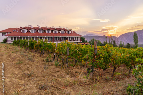 Obraz na płótnie Sunrise view of vineyards and mountains, Demir Kapija w salonie