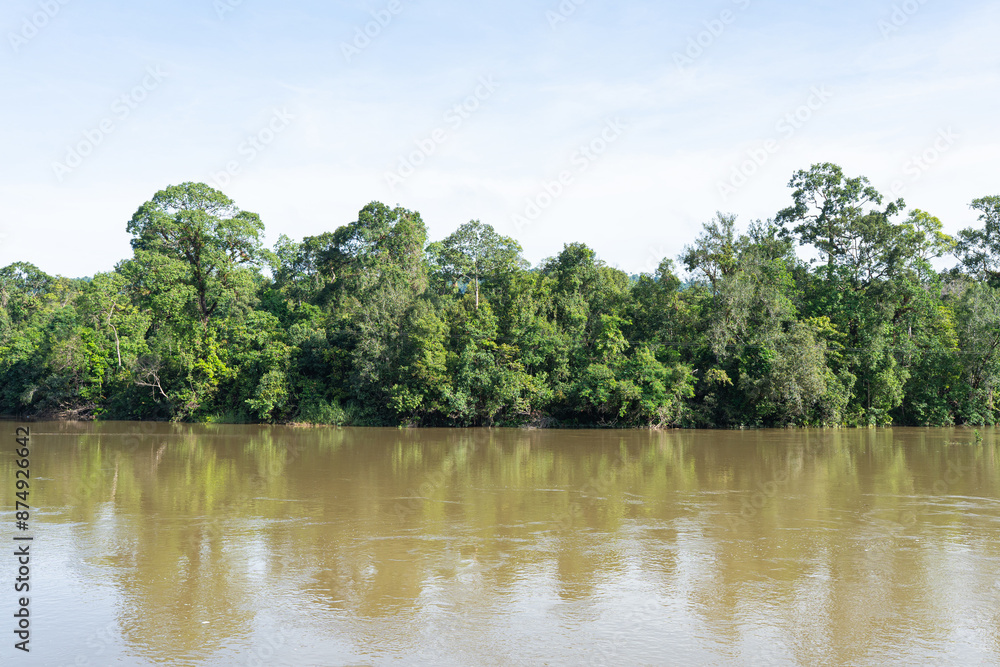 Tropical Forest River and Lake Landscape Tropical Forest River and Lake Landscape