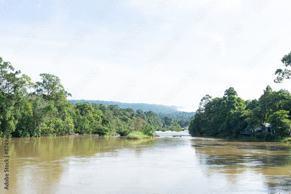 Serene River in Forest Landscape with Reflections Serene River in Forest Landscape with Reflections