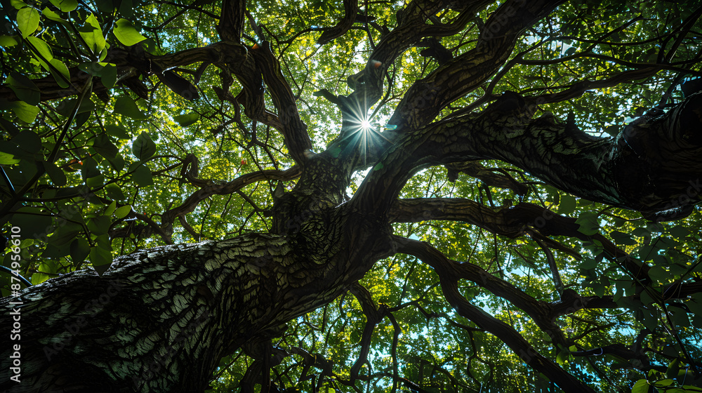 Fototapeta premium A tree with green leaves and a dark trunk