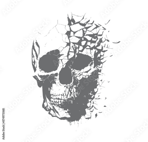 The Blasting Skull on Transparent dangerous skull coming best for Frame Painting Wallpaper t shirt and could be used any item