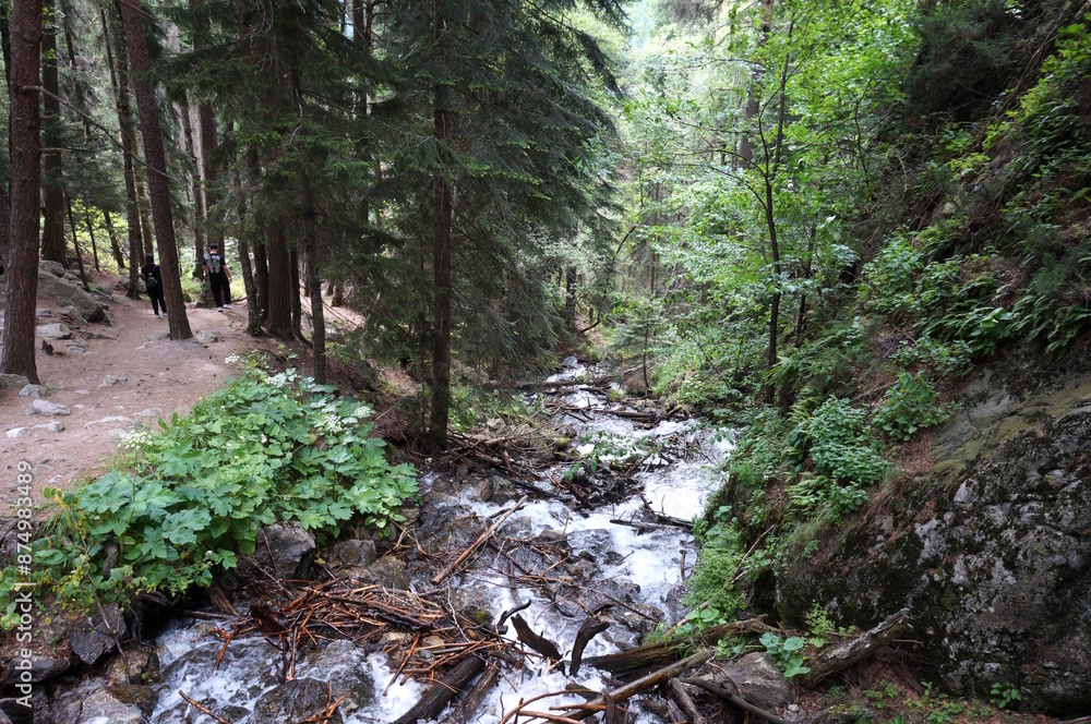 The river flows in a mountainous and wooded area. Dombai The river flows in a mountainous and wooded area. Dombai
