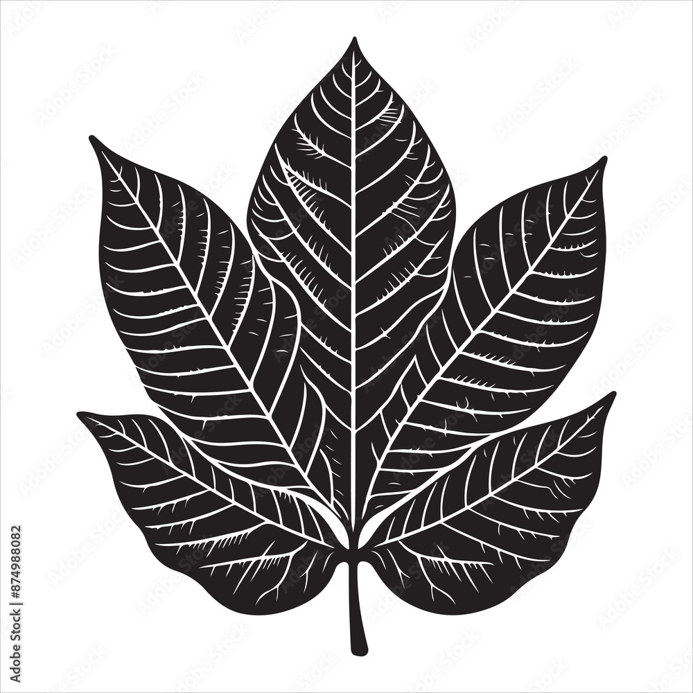Fototapeta premium black walnut leaf silhouette, vector black color silhouette