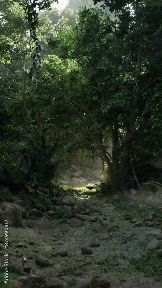 A dense forest in Indonesia filled with numerous trees and rocks, showcasing the lush and rugged landscape of the area.