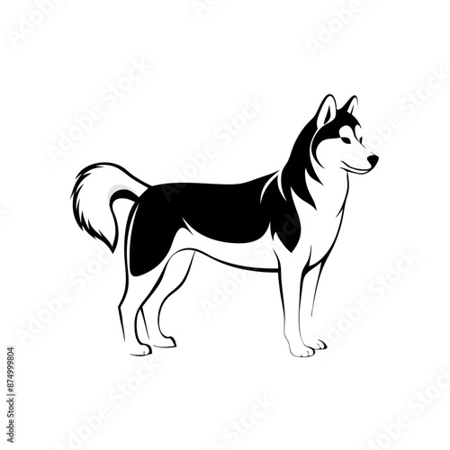 transparent vector illustration line drawing of Alaskan Malamute dog, erect ears, bushy tail