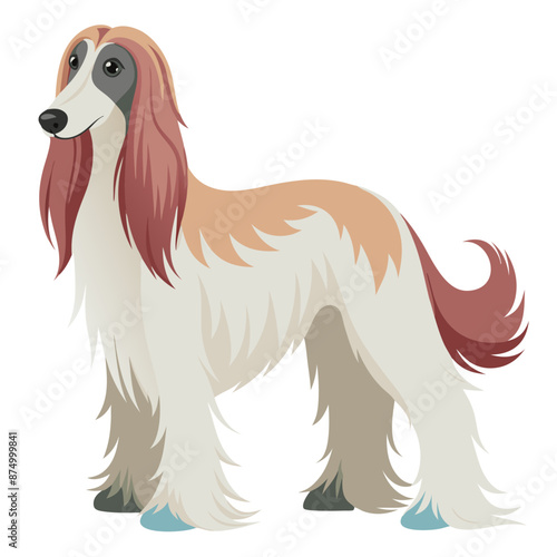 vector Afghan Hound dog, side profile, long, silky coat, slender, cream, light brown fur, standing