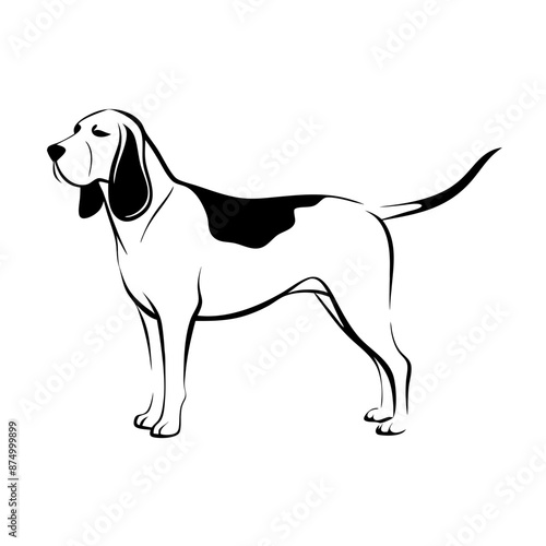 transparent vector line drawing of bloodhound, standing, long ears, droopy eyes
