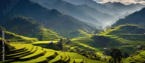 Wallpaper Mural Scenic Rice Terraces in the Mountains Torontodigital.ca