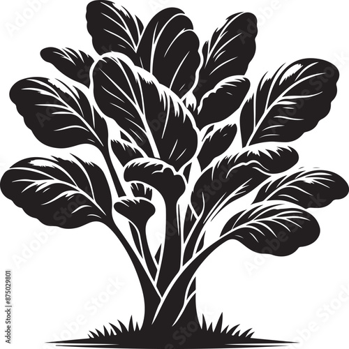 bok choy Tree, vector black color silhouette