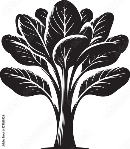 bok choy Tree, vector black color silhouette