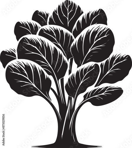 bok choy Tree, vector black color silhouette