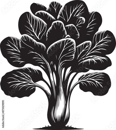 bok choy Tree, vector black color silhouette