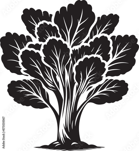 bok choy Tree, vector black color silhouette
