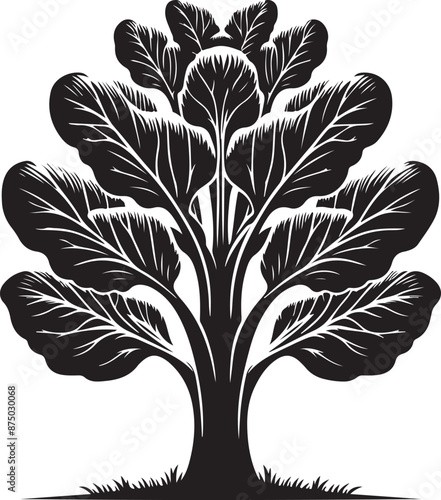 bok choy Tree, vector black color silhouette