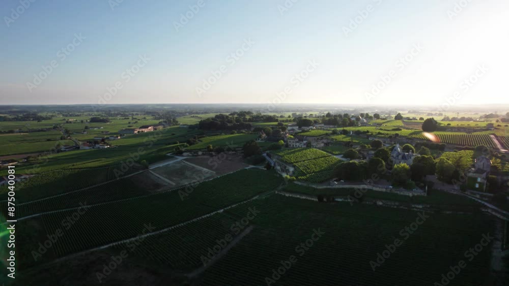 Aerial view of
Prestigious vineyard of Saint-Émilion, France