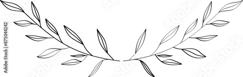 Leaf isolated on transparent background. Vector hand drawn leaves. Floral branches. Design for logo, wall art, tattoo, branding and packaging. Vector EPS 10
