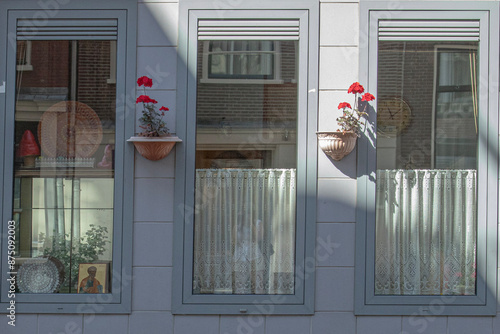 ventanas fachada gris y macetas con geranios