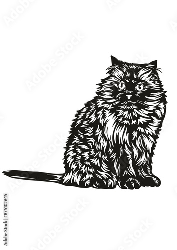 Himalayan cat SVG, Cat Breed SVG, Kitten SVG, Pet SVG, Cat lover SVG, Pet SVG, Himalayan cat Silhouette, Himalayan cat Vector, Clipart, Cut file for Cricut SVG, JPG, PNG