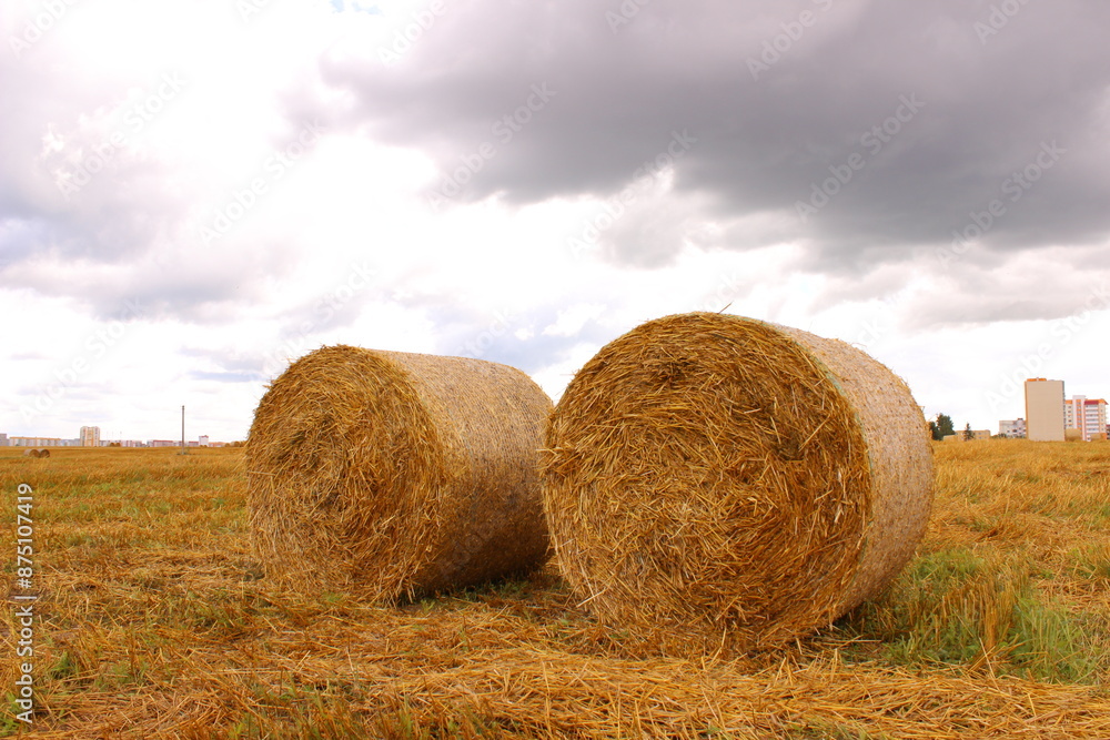 Rural Landscape Harvest. Round Haystacks in Summer Sky. Agricultural Decor. Rural Landscape Harvest. Round Haystacks in Summer Sky. Agricultural Decor.