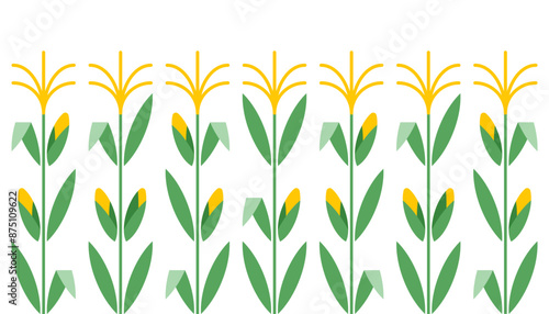 Corn plant, abstract pattern. Botanical illustration of field maize: stalks, leaves and cobs. Minimalist vector illustration.