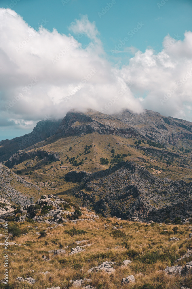 Fototapeta premium Paisajes de Mallorca en verano