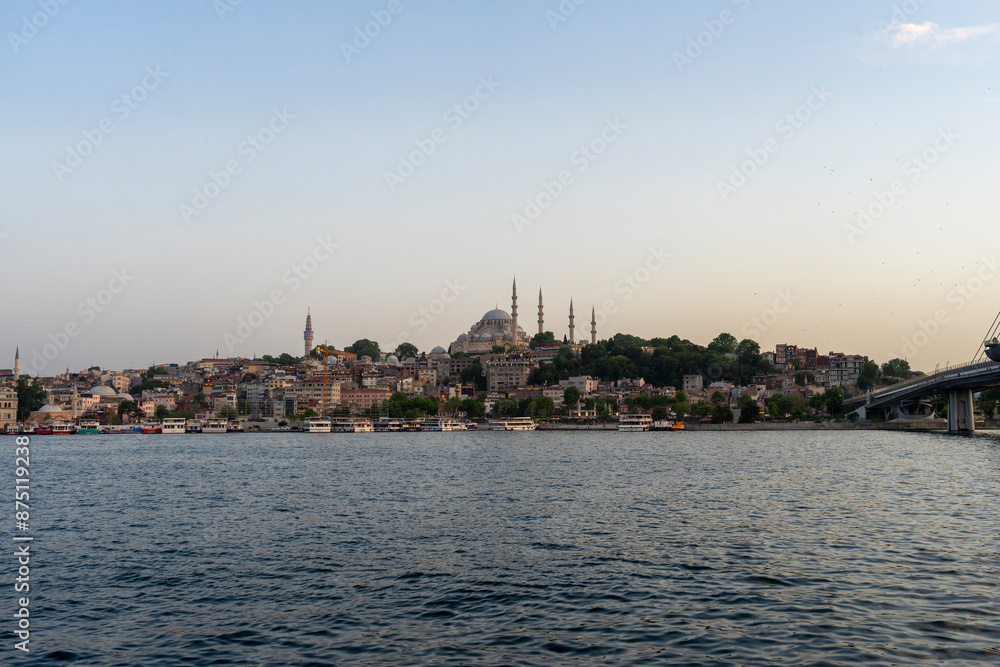 Fototapeta premium View the fantastic night view of Istanbul from the dockside park
