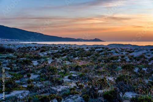 Beach at sunset with flowers on the sand and Castelsardo village on the background in Sardinia, Italy