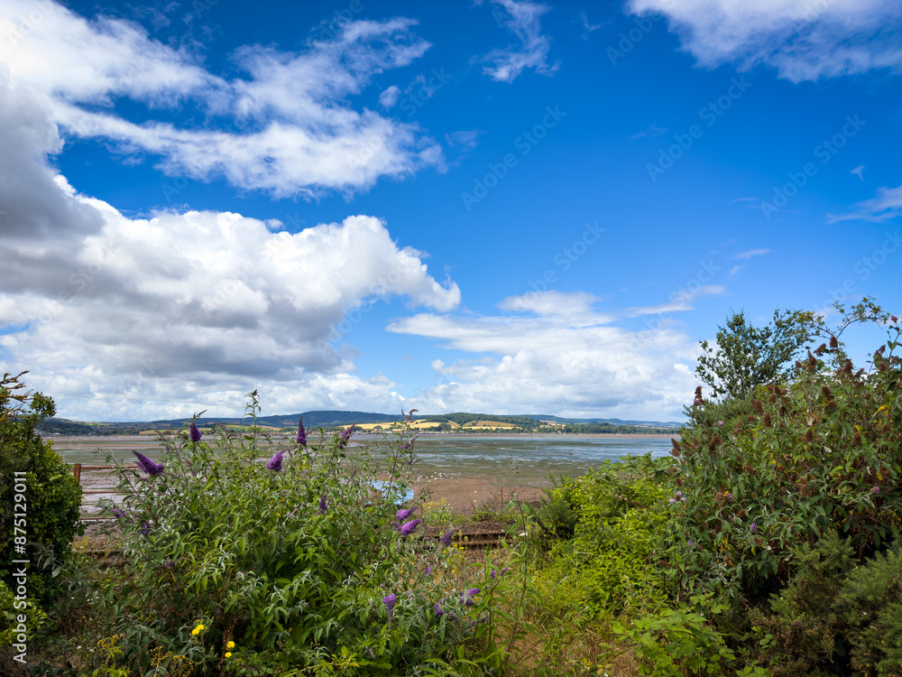 Naklejka premium The Exe estuary in Devon, England