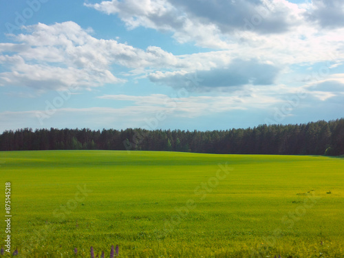 A green field, forest and clear sky in the background.