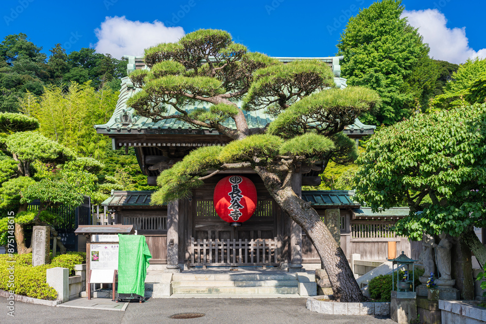 Fototapeta premium 鎌倉 長谷寺