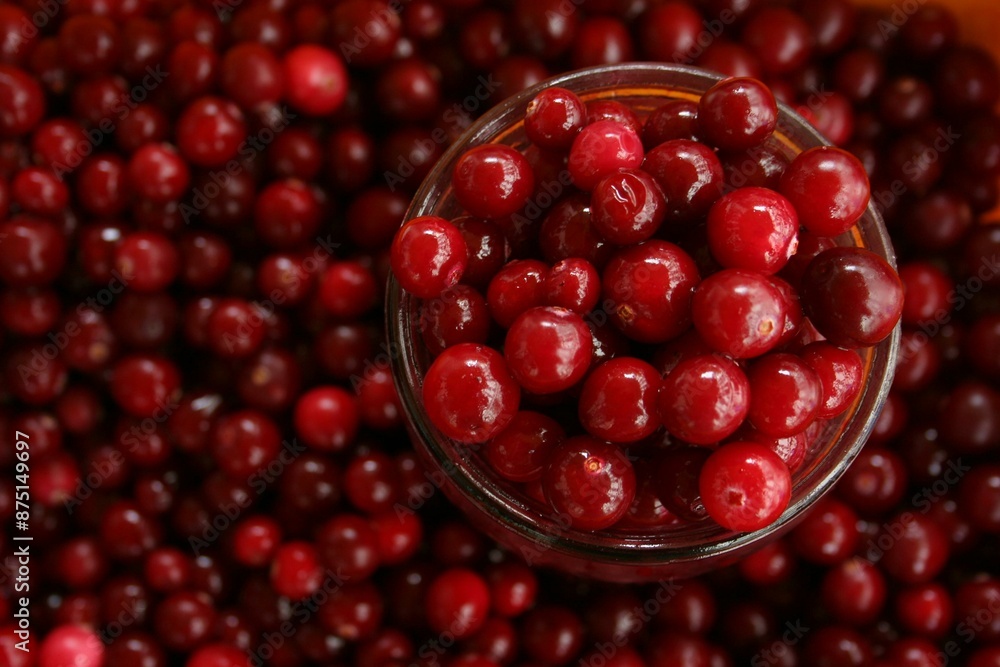 red currants in a bowl red currants in a bowl