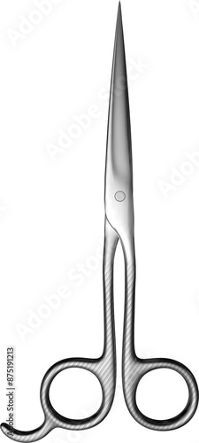 barber hair dressing scissors shears