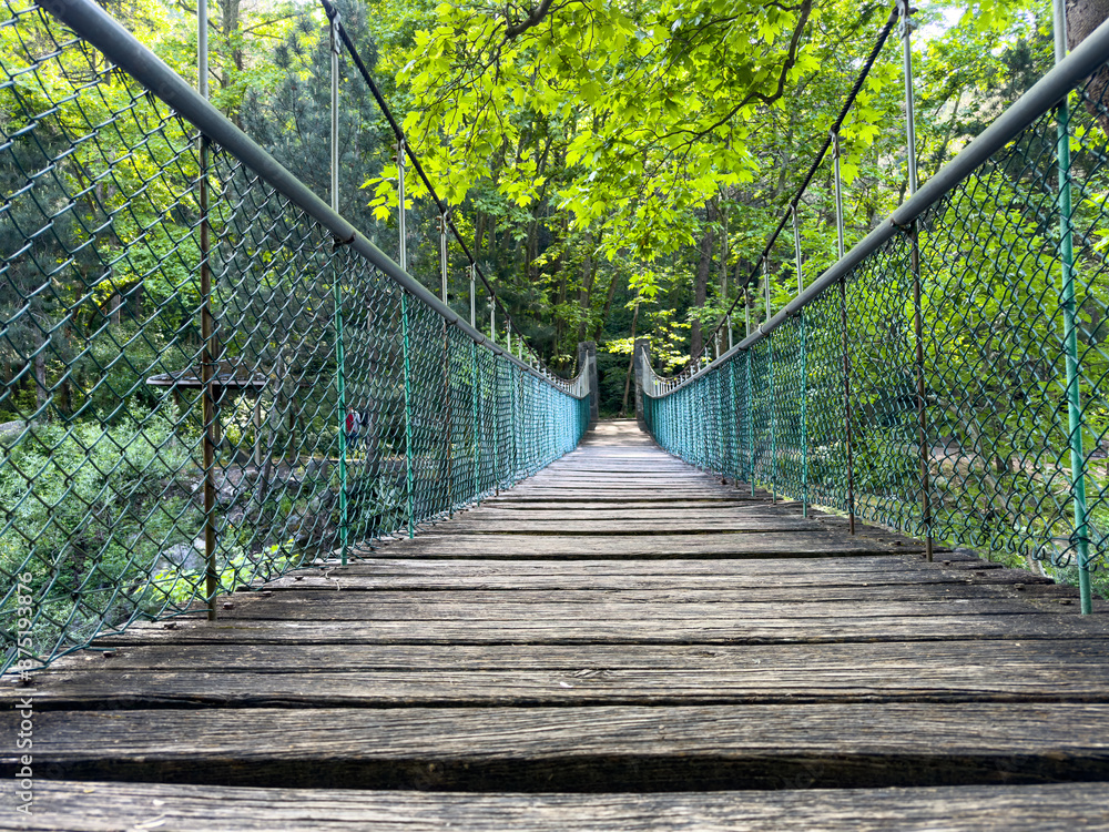 Fototapeta premium empty suspension bridge in the forest, hiking concept