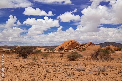 Wild Horse Galloping Under African Skies at Spitzkoppe (Namibia): Embracing Nature's Freedom and Simple Values