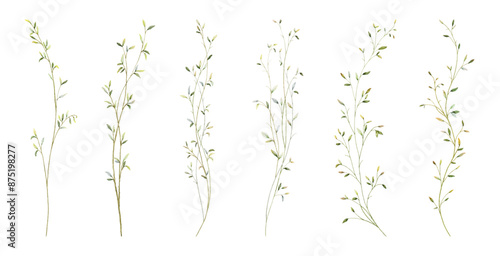 Set of watercolor small leaves elements