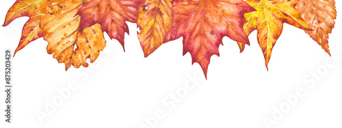 Hand drawn watercolor illustration. Frame of various autumn leaves painted in watercolor. Colorful illustration of autumn leaves for birthday, wedding, thanksgiving, holidays. Any creative designs.