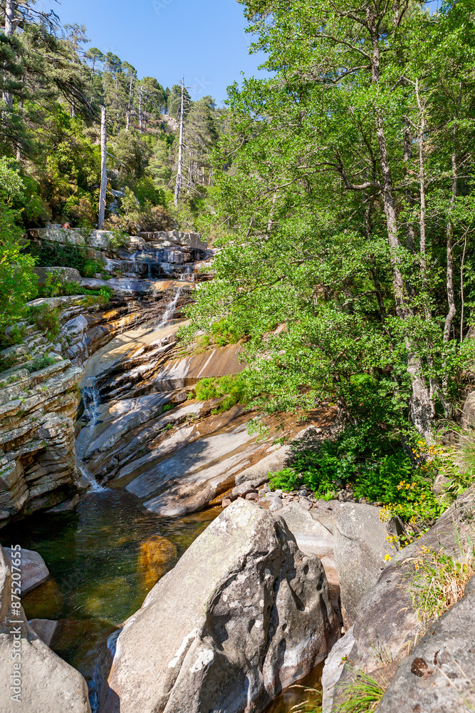 Aïtone forest, river and waterfall, Evisa, Corsica, France. Numerous natural pools and the Aïtone waterfalls, forest with old Laricio pines Aïtone forest, river and waterfall, Evisa, Corsica, France. Numerous natural pools and the Aïtone waterfalls, forest with old Laricio pines