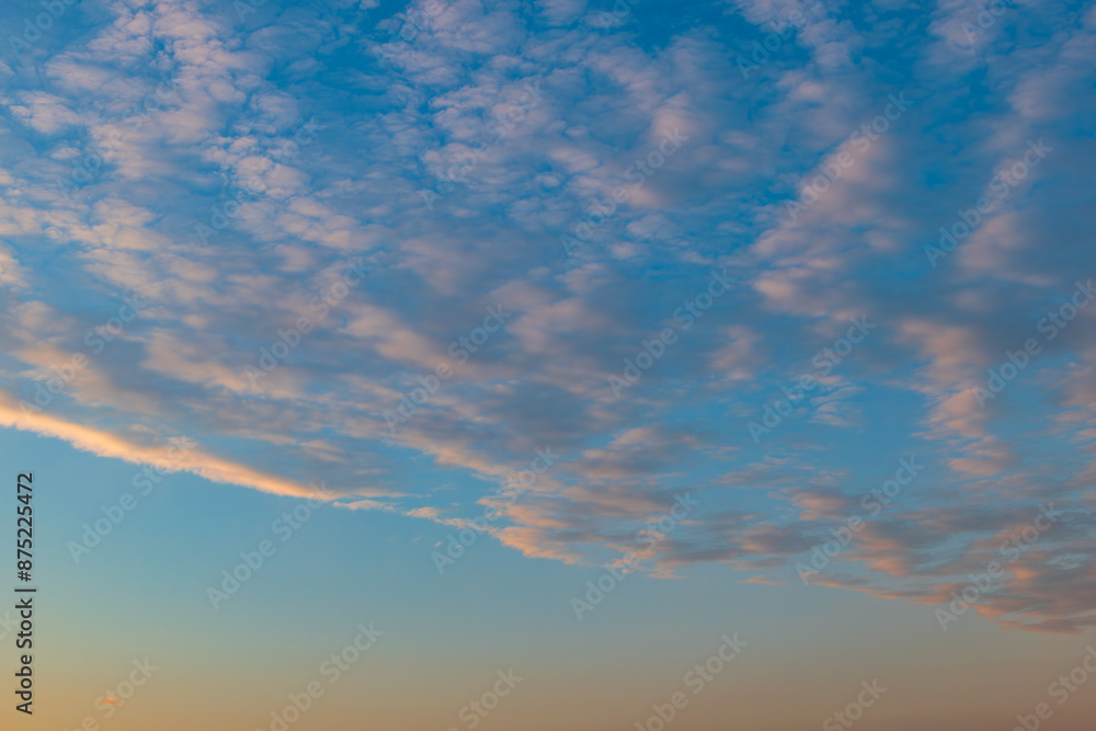 Obraz premium 朝空