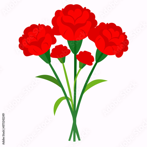 Elegant Red Carnation Bouquet on White © Mosharef 