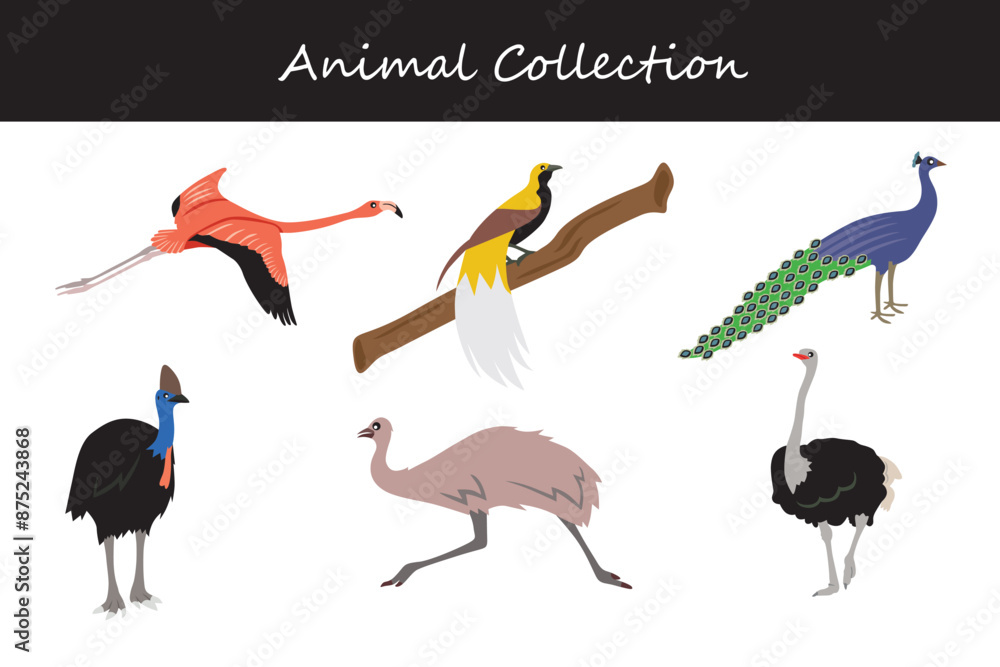 Obraz premium Animals collection. Flat style vector illustration.