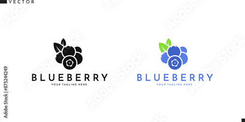 Blueberry with leaves sign. Abstract vector