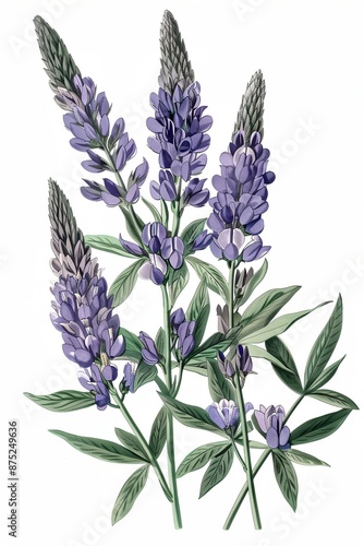 A drawing of purple flowers with green leaves