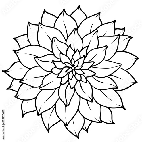chrysanthemum outline coloring book page line art illustration digital drawing